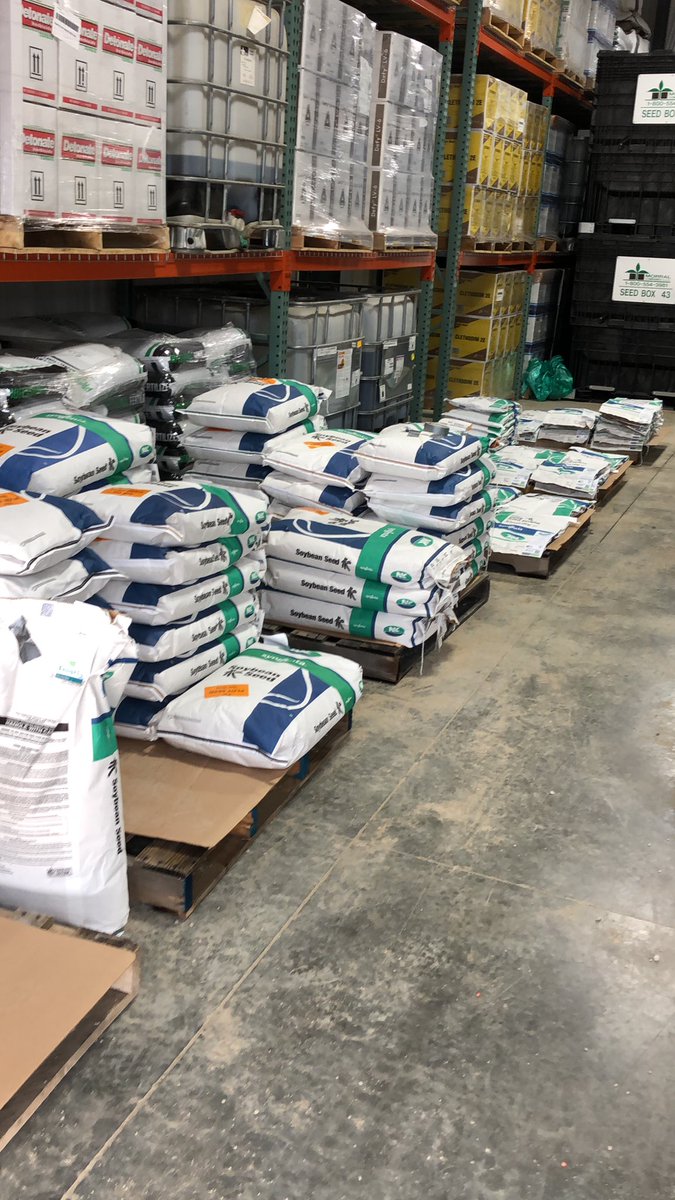 DexterOdle_NK's tweet photo. Let the fun begin! #plotseed #plant2021 #NKseeds https://t.co/jtTfek7gGu