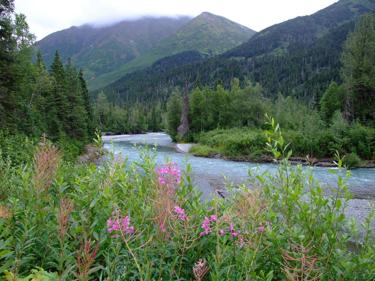 afewmilesmore's tweet photo. Heading north to Alaska for today’s #Top4Outside:
↖ Glacier Hwy @TravelJuneau
↗ Glacier Bay @GlacierBayNPS
↙ Sixmile Creek, Hope Hwy
↘ Crescent Lake @LakeClarkNPS
for this week’s #Top4Theme hosted by @CharlesMcCool, @Giselleinmotion, @perthtravelers, and @Touchse. https://t.co/1AsmwBVWW8