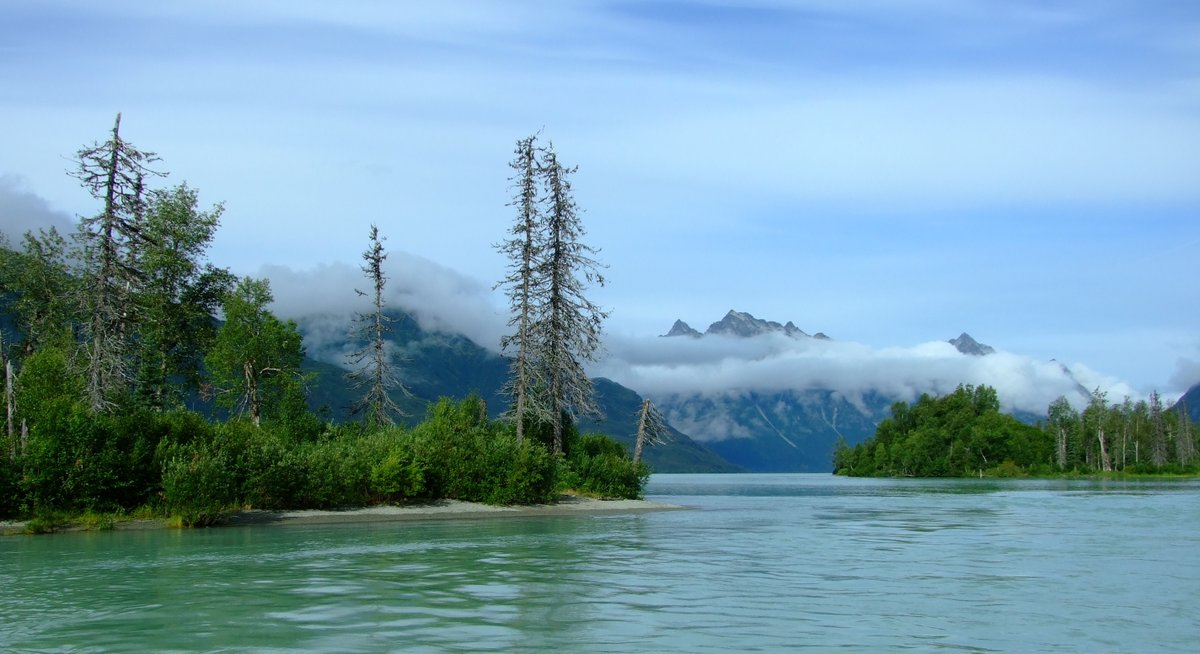 afewmilesmore's tweet photo. Heading north to Alaska for today’s #Top4Outside:
↖ Glacier Hwy @TravelJuneau
↗ Glacier Bay @GlacierBayNPS
↙ Sixmile Creek, Hope Hwy
↘ Crescent Lake @LakeClarkNPS
for this week’s #Top4Theme hosted by @CharlesMcCool, @Giselleinmotion, @perthtravelers, and @Touchse. https://t.co/1AsmwBVWW8