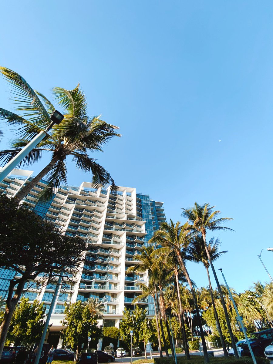 MiamiBeachNews's tweet photo. It’s our birthday and we’re feeling good for being 106 today! #HappyBirthdayMB 🌴🥳🎂 https://t.co/hDUPyBGl68