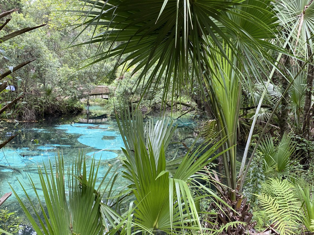 Haley_Burg's tweet image. Call the Senators in Env. &amp;amp; Nat. Resources committee and ask them to support SB 1522 “Implementation of the Blue-Green Task Force Recommendations.”
There’s much more work to be done for Florida’s waters, let’s build upon task force recommendations. #FloridaLegislativeSession