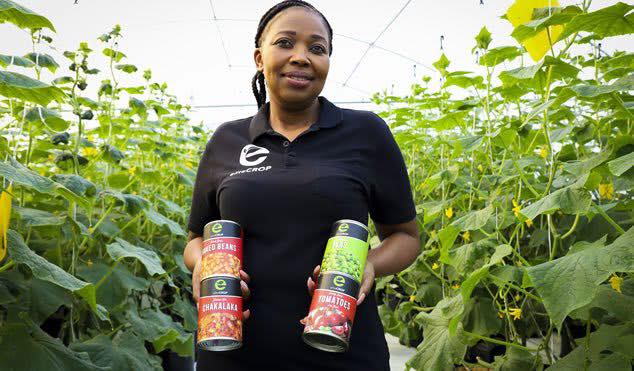 KasiEconomy's tweet photo. Meet Ntando Thabethe from KZN, owner of Elite Crop. After the company she worked for moved to Gauteng, she found herself being unemployed. So she started her vegetable company by buying seeds with R389 she received from her husband to do her hair. Today she owns a veggies' market https://t.co/H8dMt7wwR9
