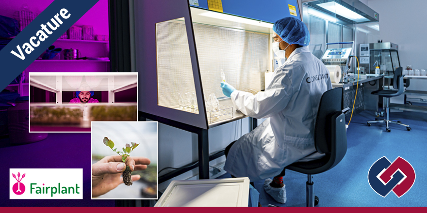 VACATURE | Manager weefselkweek laboratorium (Emmeloord)

Ben jij degene die het gloednieuwe, hightech Tissue Culture laboratorium van Fairplant tot een succes brengt? Kijk voor meer informatie op: doornboswerving.nl/vacatures/vaca…