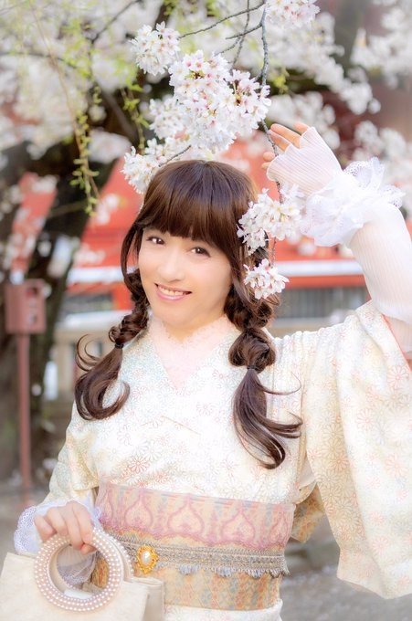 yamagmako1's tweet photo. おはよう土曜日♪
桜の季節になると、街中に桜の木がたくさん有るのを感じます。普段は何の木か分からないけど、あ、桜だったんだァ🌸ってね🐻💕浅草で着物でお花見撮影しました。着物も良いですよね👘
良い週末を〜
#女装 #男の娘 #偽娘 #crossdresser #女装さんと繋がりたい #makeover_with https://t.co/tIs33VGdkl