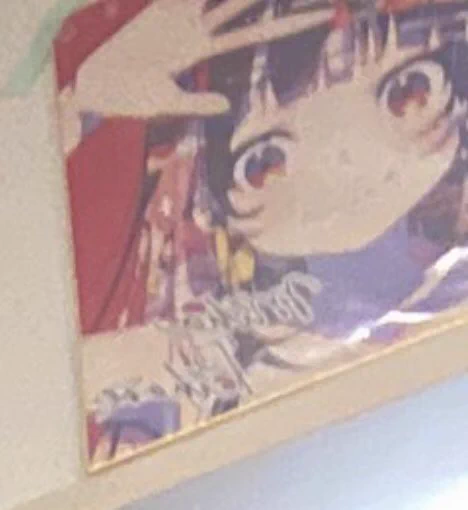 @lalalaicos なんだかんだMikapikazoさんのイラストに目がいってしまったw 