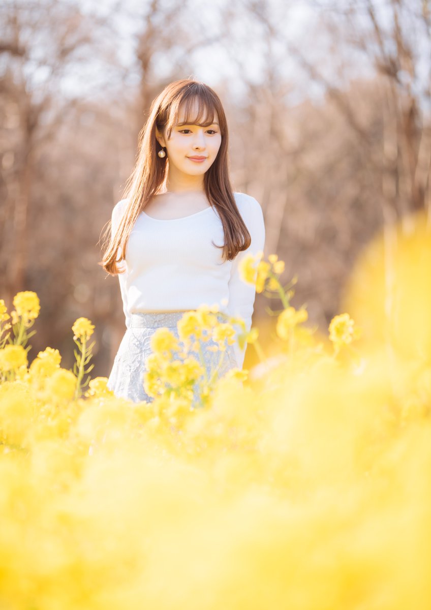 yosuk_ex's tweet photo. *
　*
Yellow Magic
　　　*
　　　　*
 𝐴 𝑜 𝑖. ☪︎ ｡* @Aoiptgp https://t.co/eU7rJvYp4R