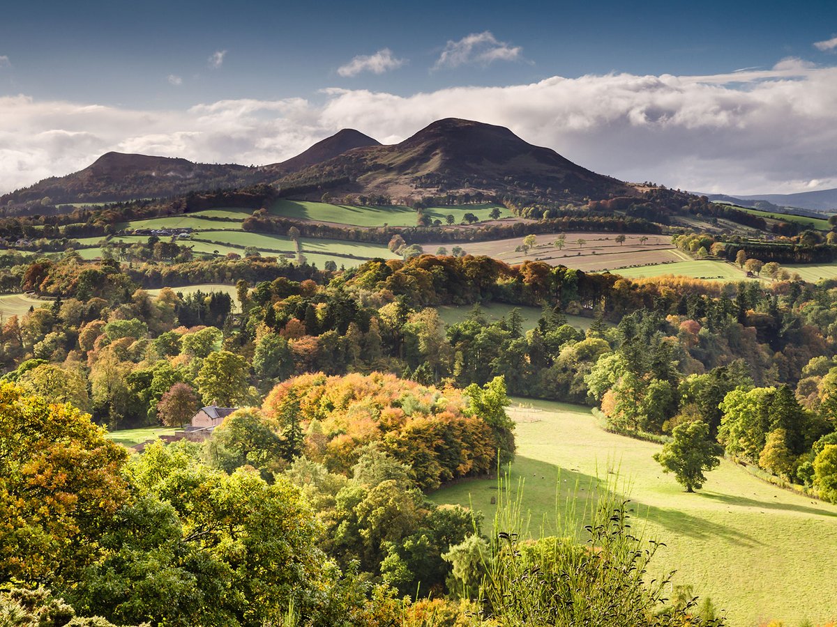 Tom Oates talks us through the importance of preparation for an end of a tenancy, whether that be for giving up a holding or indeed for the purchase of a holding: bit.ly/3w1iaFI #ruralproperty #tenancy #farmtenancy #scotland #agriculture #scottishagriculture