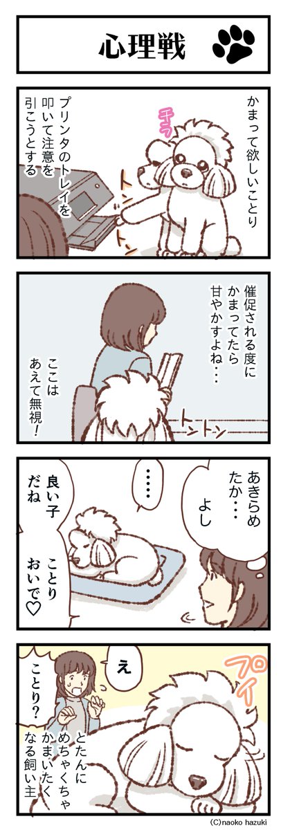 佩月なおこ トイプードル ことりとゆかいななかまたち 0 心理戦 トイプードルことりとゆかいななかまたち T Co Y6surxotfe トイプードル トイプー 犬好きと繋がりたい はてなブログ ４コマ 漫画が読めるハッシュタグ 犬のいる