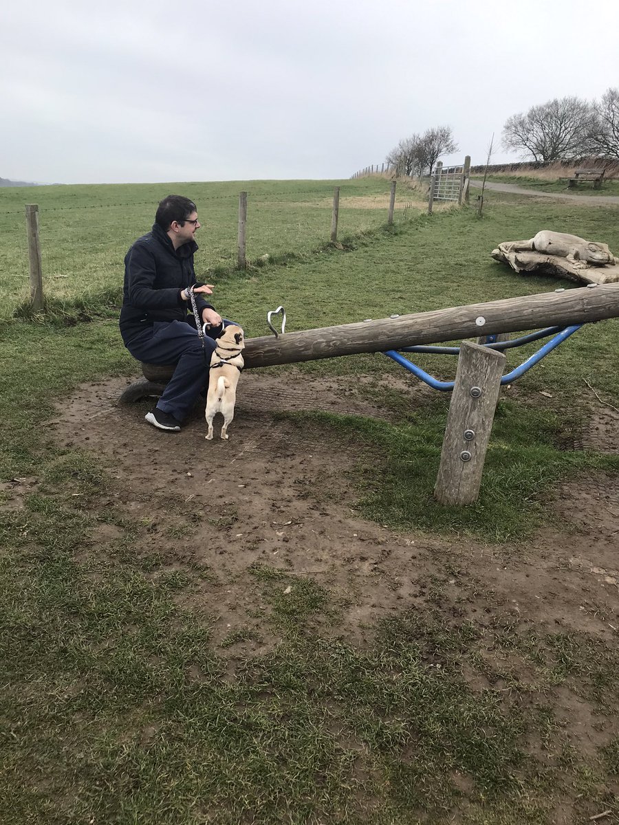 fun_puggy's tweet photo. We haven’t been online for a little bit. Hoodad brought home this massive box of Turkey treats for us- yum yum.
It was Belles bday. She enjoyed a walk in the woods at the local country park.
Hoodad had a turn on a seesaw and we didn’t like it. We told him to get off it. 🐶🐶🐶🐶 https://t.co/fLHlLltnmR