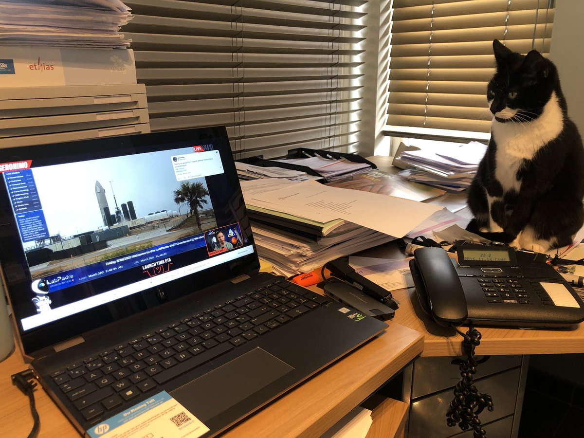 ChristopheVC's tweet photo. Not only humans are interested in Starship Launches 🚀 Love your channel! #GERONIMO #WAI #SpaceX #Starship #CatsOfTwitter @FelixSchlang https://t.co/XoCOUobLX6