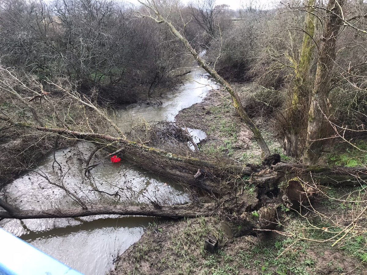 johnoflynnEA's tweet photo. #PevenseyFieldTeam removed this tree blocking the #RiverCuckmere near #ArlingtonVillage, reducing flood risk to the local communities. #floodaware @wealdendistrict @cllr_watts @EastSussexCC @sdnpa https://t.co/WPUl17tKF9