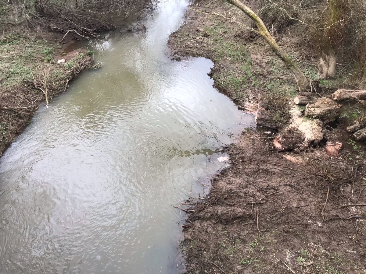 johnoflynnEA's tweet photo. #PevenseyFieldTeam removed this tree blocking the #RiverCuckmere near #ArlingtonVillage, reducing flood risk to the local communities. #floodaware @wealdendistrict @cllr_watts @EastSussexCC @sdnpa https://t.co/WPUl17tKF9