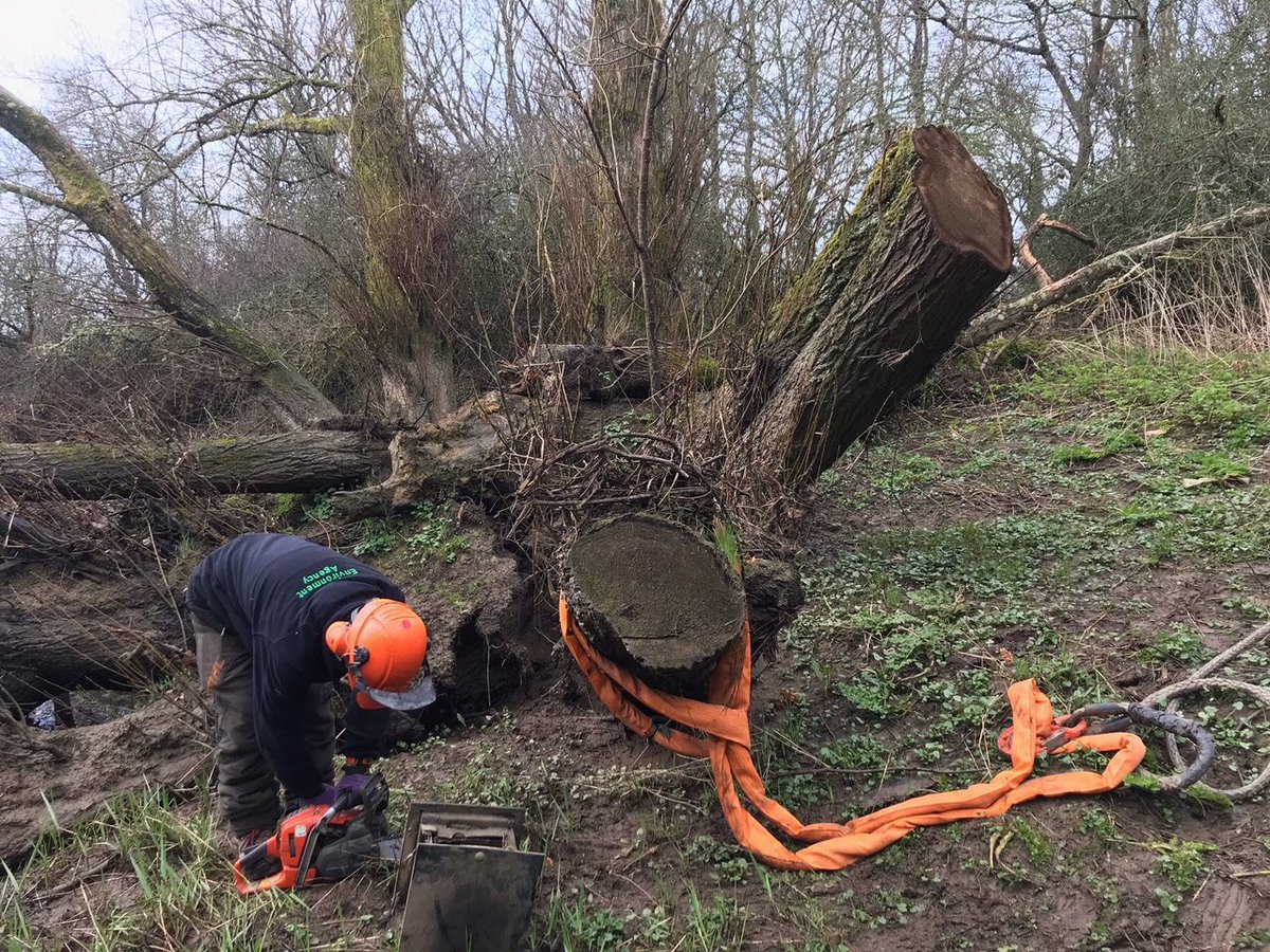 johnoflynnEA's tweet photo. #PevenseyFieldTeam removed this tree blocking the #RiverCuckmere near #ArlingtonVillage, reducing flood risk to the local communities. #floodaware @wealdendistrict @cllr_watts @EastSussexCC @sdnpa https://t.co/WPUl17tKF9