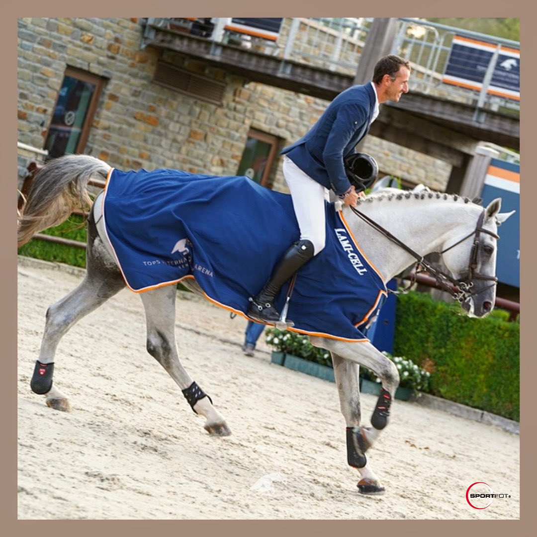 TopsIntArena's tweet image. Hands up if you dream of winning one of these @lamicell rugs 🙋🏼‍♂️🙋🏼‍♀️🤩

Photo: @sportfot