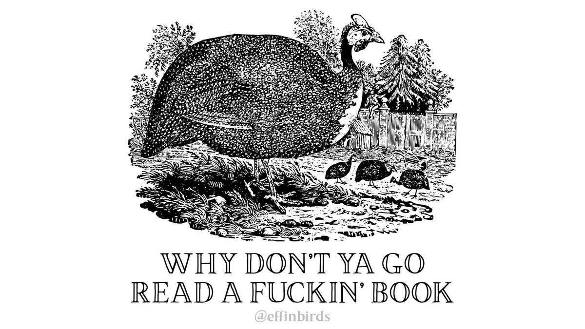 Effin' Birds (@effinbirds) on Twitter photo 