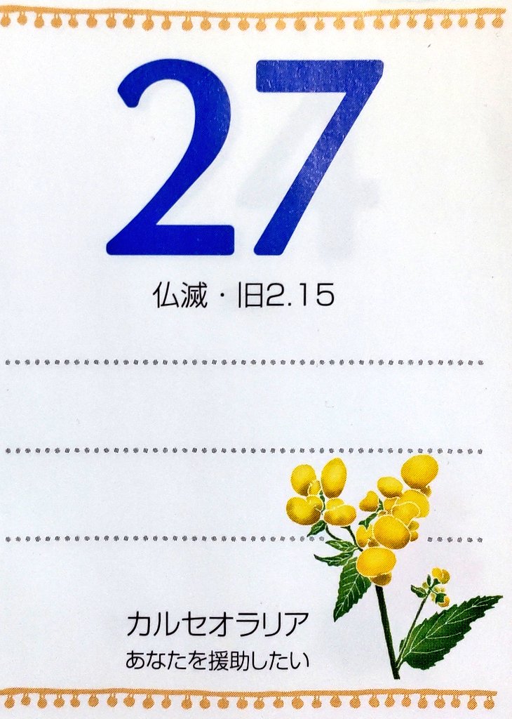 決定版365日の誕生花 花言葉と花占い 決定版365日の誕生花 花言葉と花占い