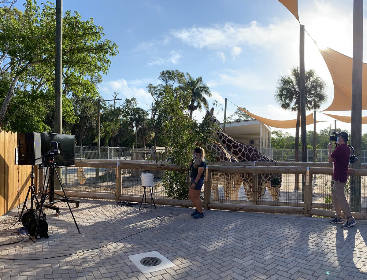 NaplesZoo's tweet photo. Today @collierschools 2nd graders learned all about giraffes at ZooCon! Students were able to ask questions live to one of our giraffe keepers, Rachael, as well as Arthur Muneza, who is Giraffe Conservation Foundation's East Africa Coordinator.
#napleszoo #zoocon #giraffe https://t.co/Q7M2mLgi7f