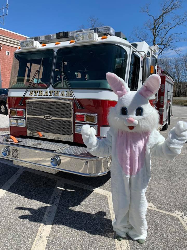 StrathamRec's tweet image. Spring Bunny Today at 4pm - mailchi.mp/strathamnh.gov…