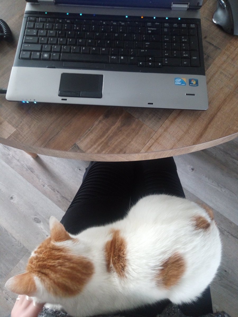 Elinuuuhhh's tweet photo. Skittles: Give me some attention mom! It's time for a cuddle break!๐น๐ผ๐ธ
And I want some treats ๐น๐น
#CatsOfTwitter #CatsOnTwitter #cats #cute #CutenessOverload #CuddleBreak #FridayMotivation https://t.co/9TSzCzprtB