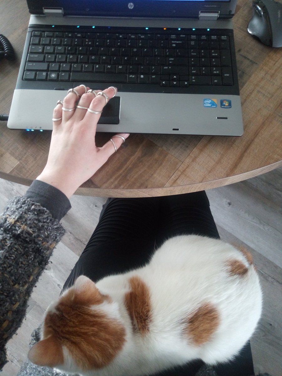 Elinuuuhhh's tweet photo. Skittles: Give me some attention mom! It's time for a cuddle break!๐น๐ผ๐ธ
And I want some treats ๐น๐น
#CatsOfTwitter #CatsOnTwitter #cats #cute #CutenessOverload #CuddleBreak #FridayMotivation https://t.co/9TSzCzprtB
