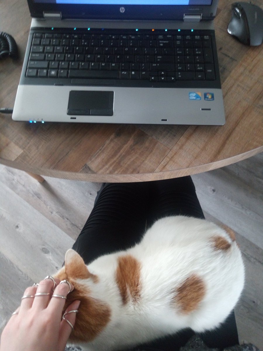 Elinuuuhhh's tweet photo. Skittles: Give me some attention mom! It's time for a cuddle break!๐น๐ผ๐ธ
And I want some treats ๐น๐น
#CatsOfTwitter #CatsOnTwitter #cats #cute #CutenessOverload #CuddleBreak #FridayMotivation https://t.co/9TSzCzprtB