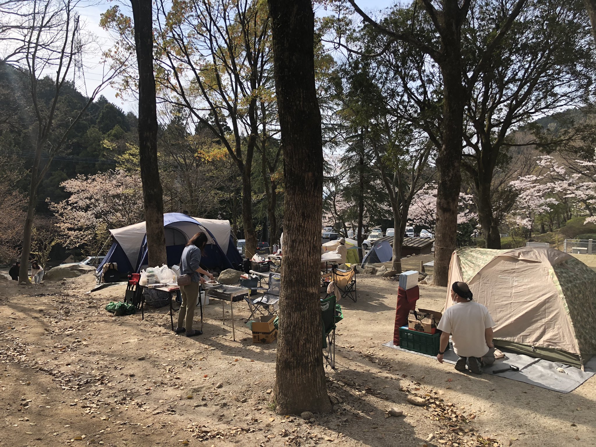 Ryuji Fujimura コロナ禍でアウトドアが見直されていること ソロキャンプの流行などに加え トイレが出来てから子連れでも安心ということで口コミで来場者が増えているようです T Co Tgqelnc7q8 Twitter