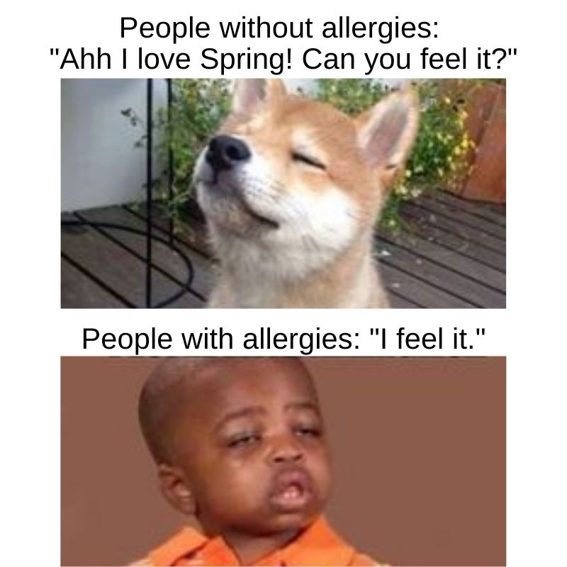 i feel it allergy meme