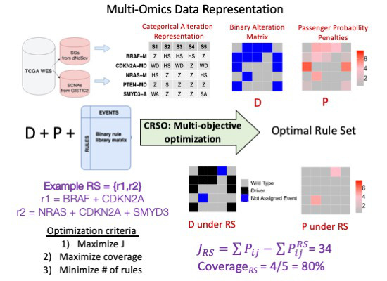 Cancer Rule‐Set Optimization (CRSO) identifies sets of alteration combinations predicted to cooperatively drive tumour formation in individual patients --> bit.ly/3cpdyBs
<a href="/HongyuZhao2/">Hongyu Zhao</a> DF Stern <a href="/MichaelKlein5/">Michael Klein</a> <a href="/JeffTownsend/">Jeffrey Townsend</a> #biomarkers #PrecisionOncology