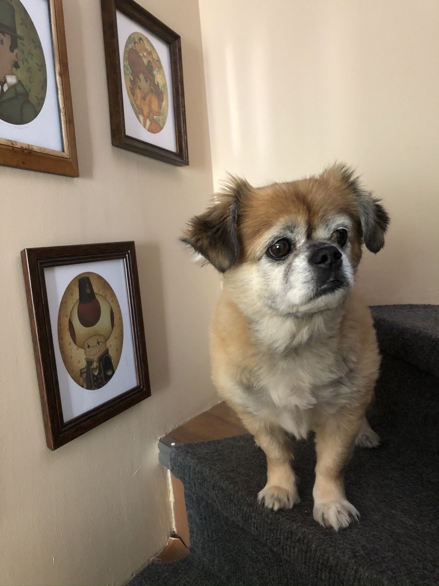 Lil’Roco tweet media