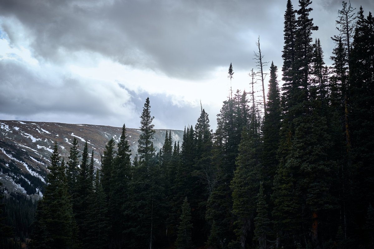 Im ready for pink skies, warm nights, and wildflower waterfalls.