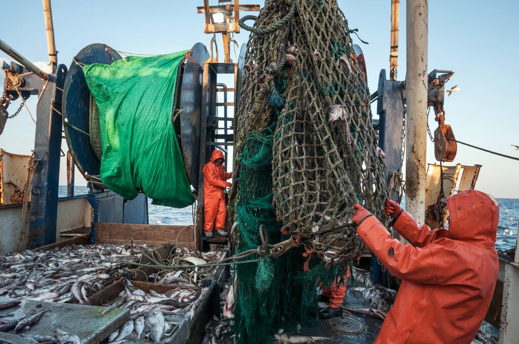 DeepSeaConserve's tweet photo. A new report published in @nytimes found that trawling for fish may unleash as much carbon as air travel. It also found that strategically conserving specific #marine areas would help sequester large amounts of carbon and safeguard #biodiversity. https://t.co/itV3nUpu4U https://t.co/IsFKG6RoA6