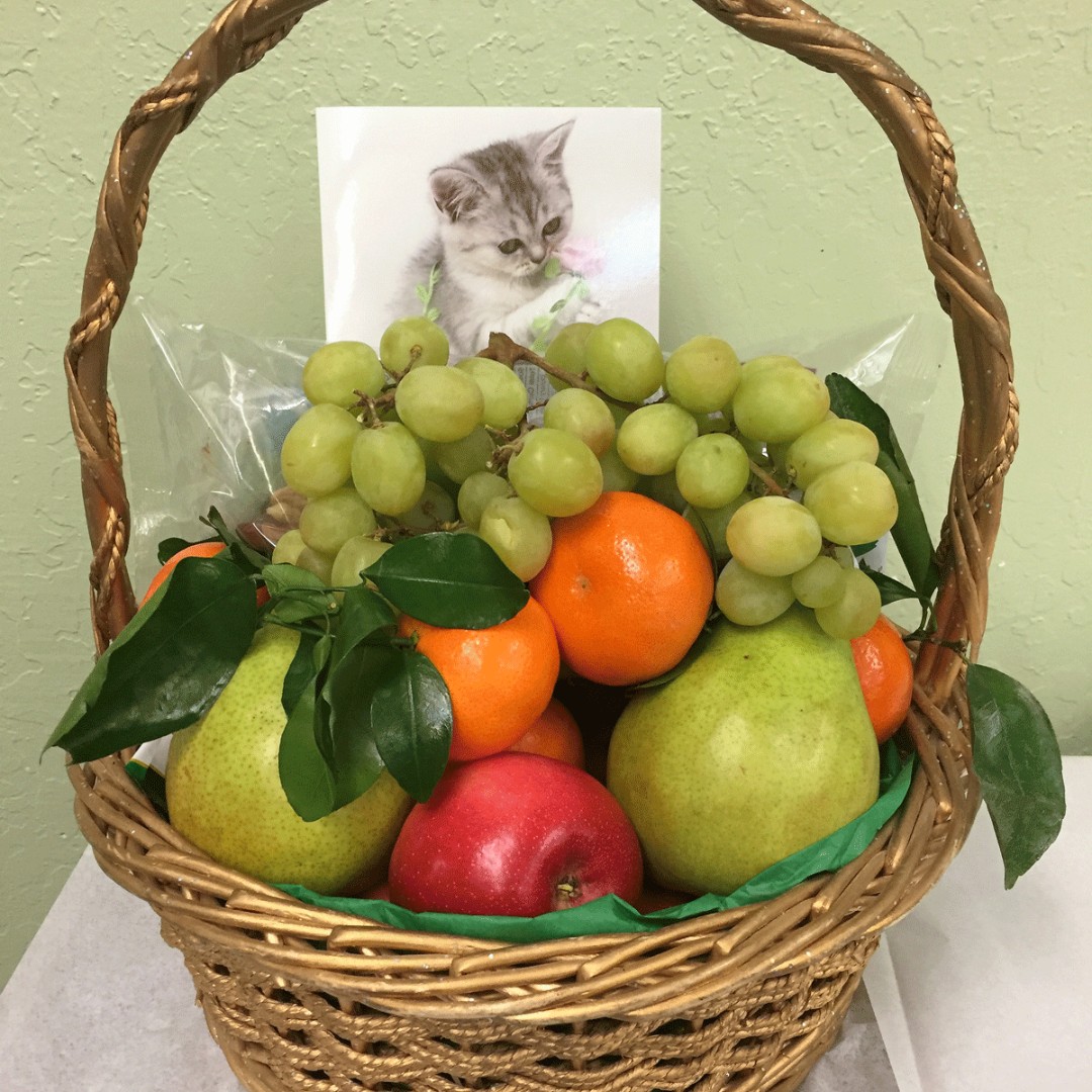 ChoiceinAging's tweet photo. When it comes to celebrating our member's birthdays we just can't keep our distance - but since we must, for safety precautions, you can see how we do it - delivering a little CiA presence while dropping off presents. 
#StayHomeStaySafe #socialdistancestyle #seniorcare https://t.co/nEKId113UK