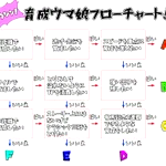 次は誰を育成する？ウマ娘で次を育成する時に使えるフローチャート!