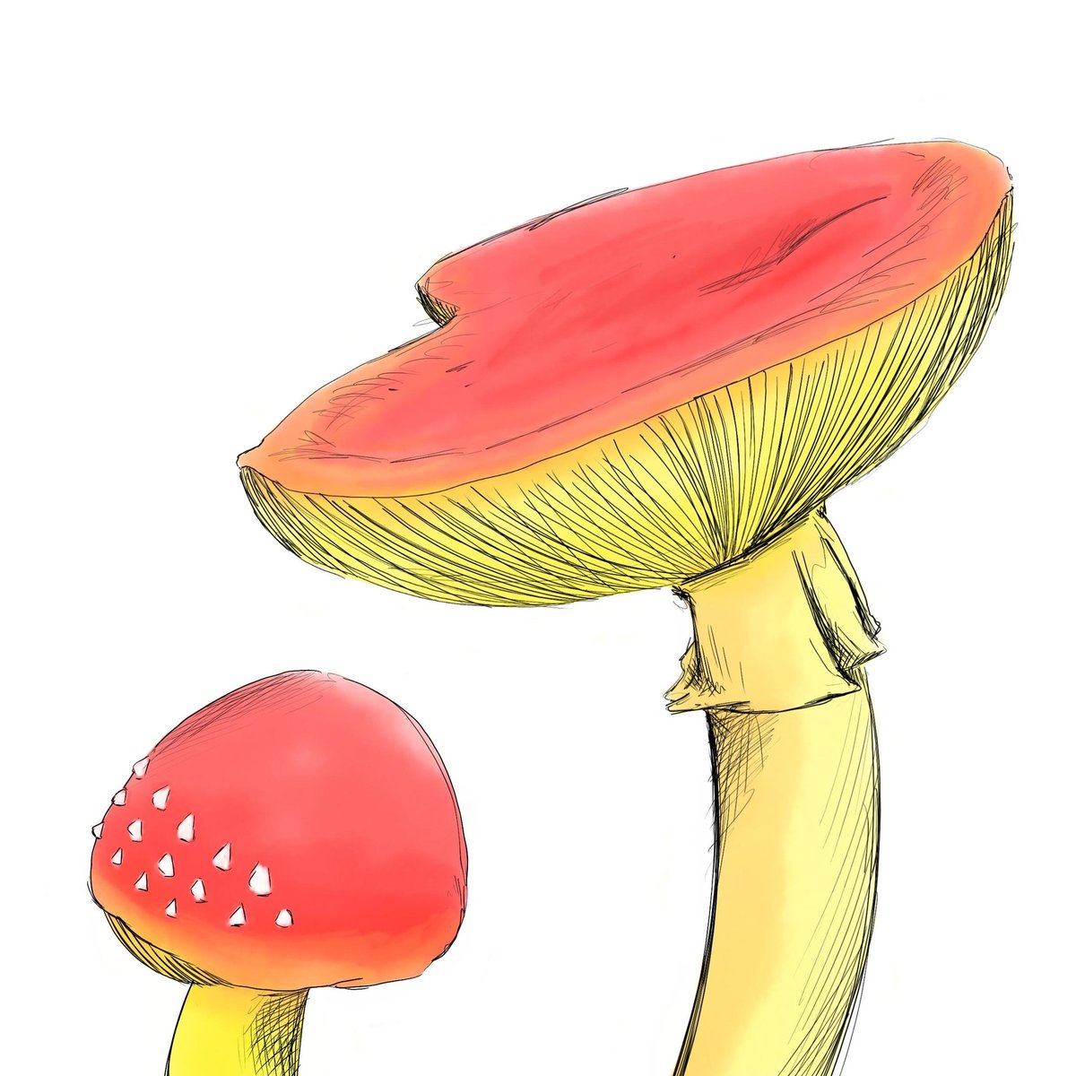 85/365  #Draweveryday2021⁠⁠the no brain times continue but this time I study a mushroom or two⁠.