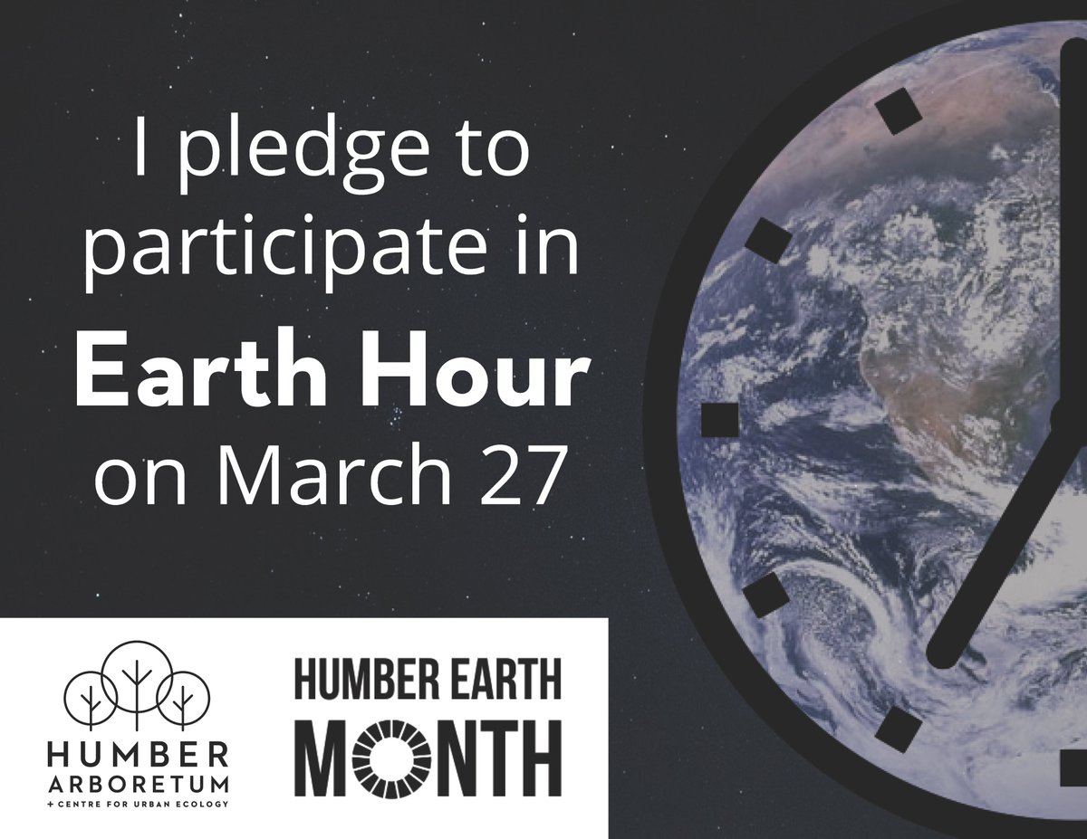 HumberArb's tweet photo. Thanks to everyone who joined the Arb Ambassadors for yesterday's Earth Hour Coffee House.
Will you participate in Earth Hour on Saturday night? Share the badge made by an Arb Creative to announce your commitment!
#HumberEarthMonth2021
#LearningByLeading #WorldReadyCitizens🌎 https://t.co/9pdLvKzUj3