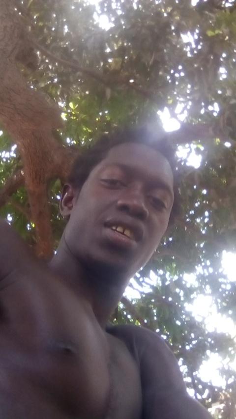 Fanisu (@fanisu3) on Twitter photo 