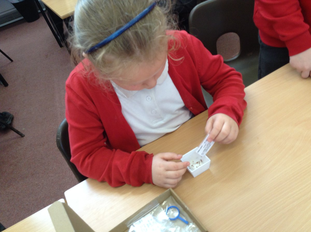 The Tynings School tweet media