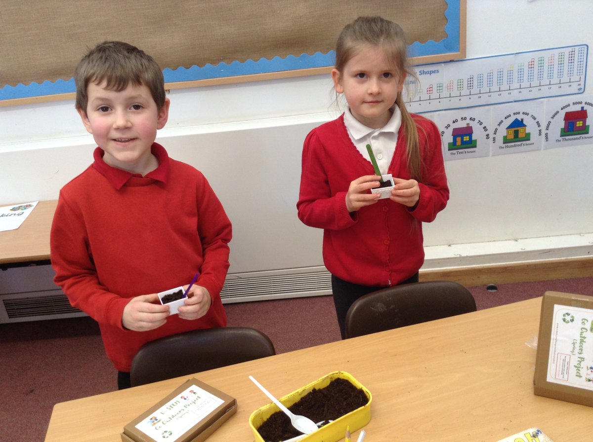 The Tynings School tweet media