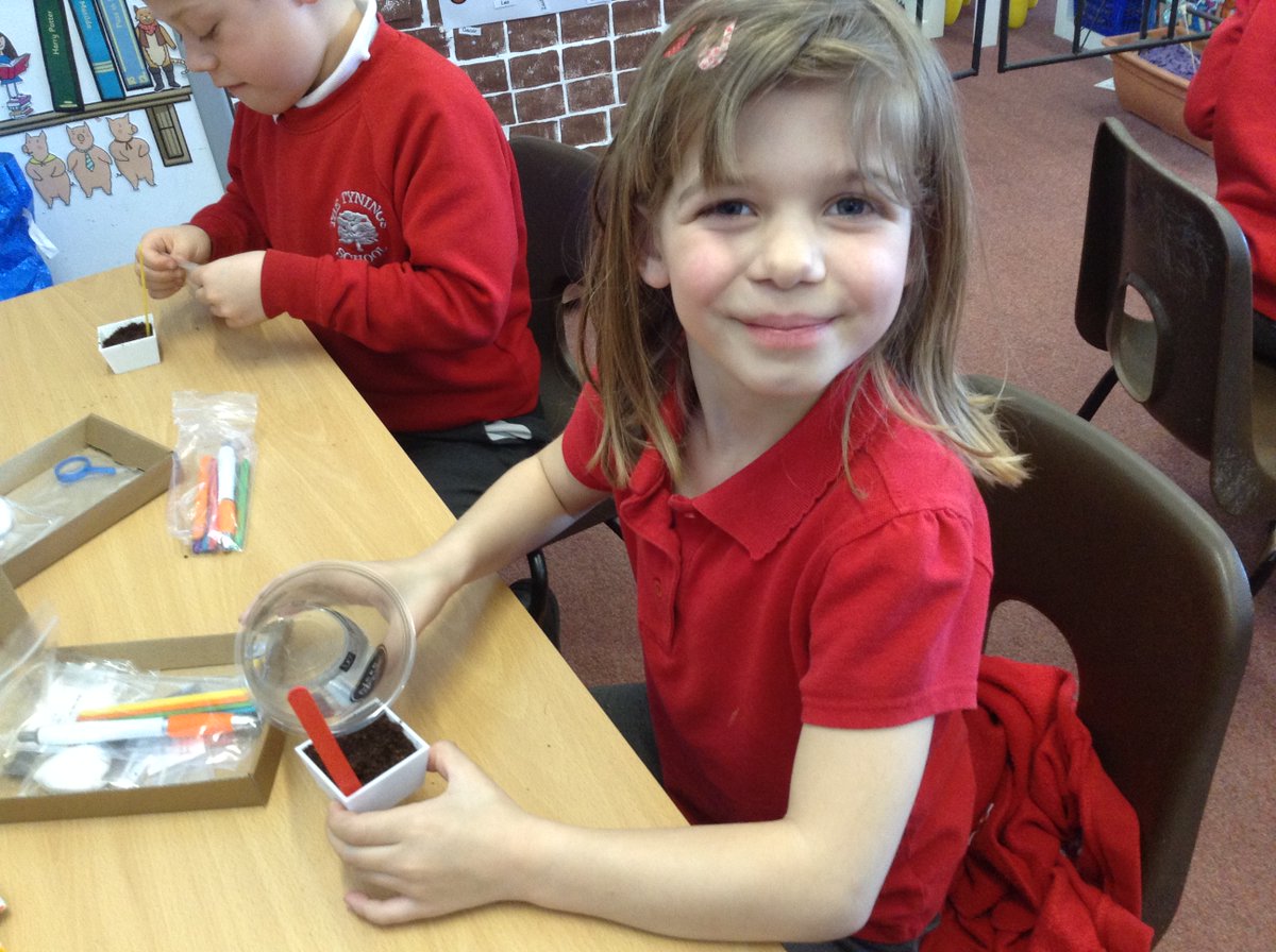 The Tynings School tweet media