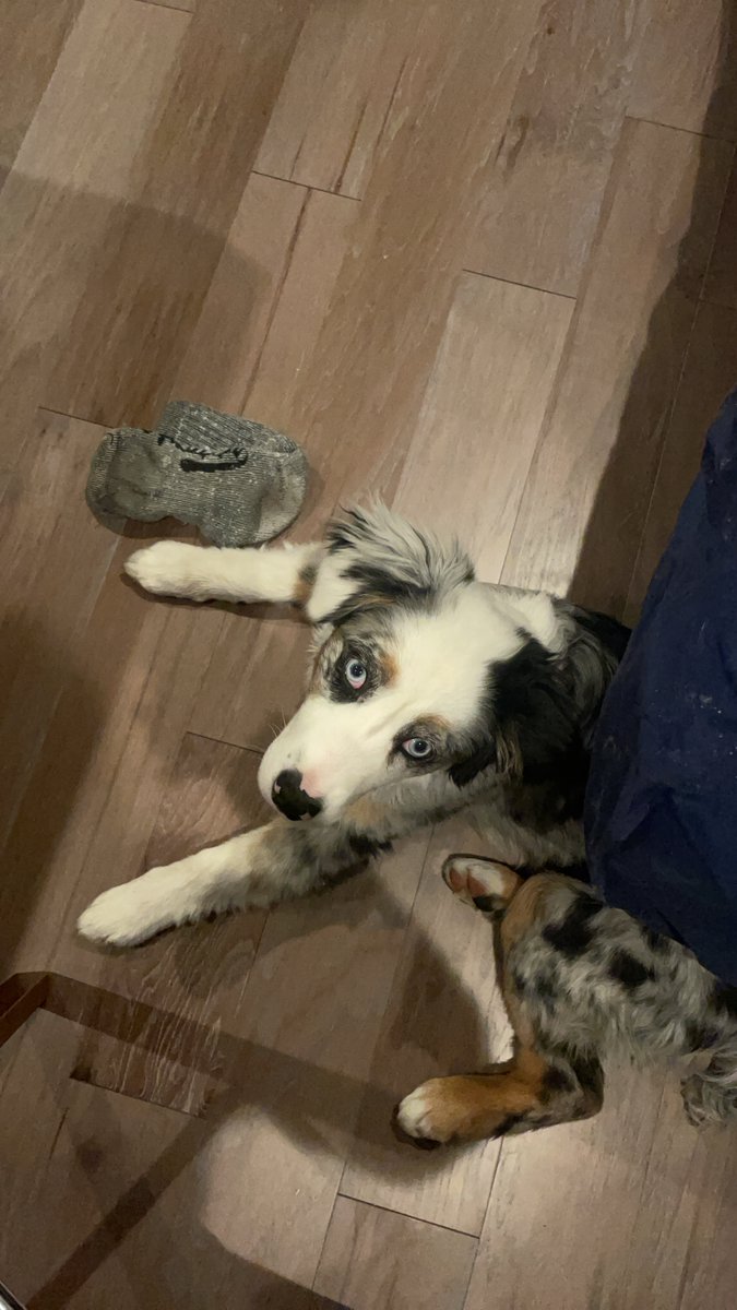 Annie Hui-Hsin Hsieh 謝蕙馨 tweet media