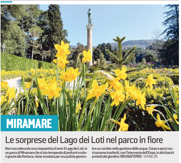 museomiramare tweet picture