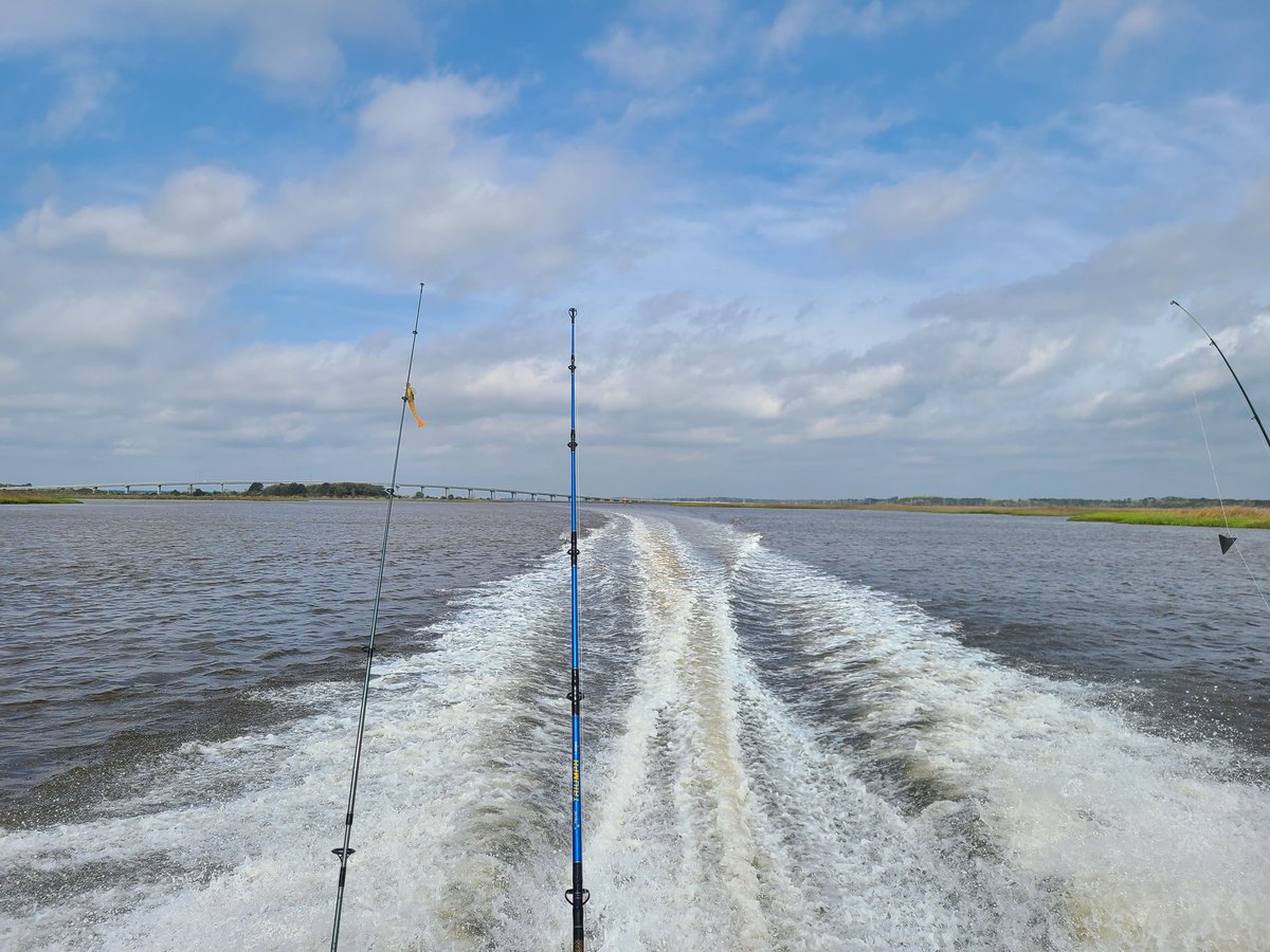 It's that time of year again! Get some fishing time in☀️🎣 ☀️