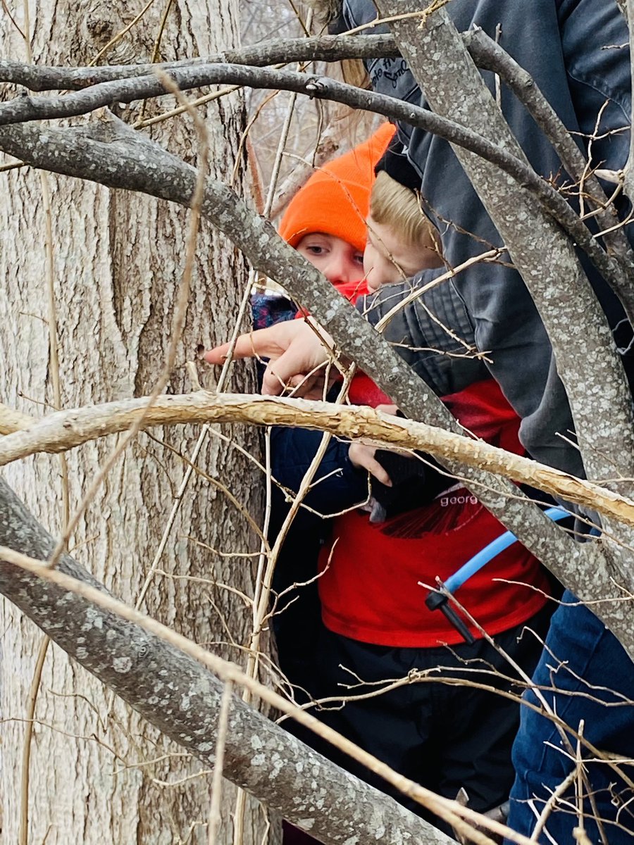 WhycocomaghEC's tweet photo. Our Primary students are learning how to tap Maple trees today! 🍁 https://t.co/DmgvSJbcPc