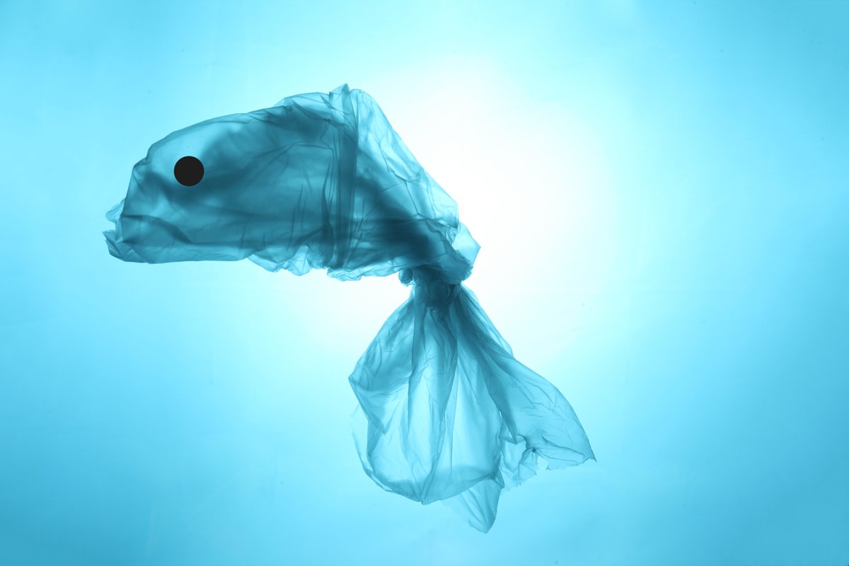 Keeping 🇪🇺’s seas clean isn’t an easy task.🌊
But our researchers created a manual for litter monitoring➡️ It’ll support EU countries to record the data they collect in a harmonised way.

europa.eu/!vm36kK

#MarineLitter #BeatPlasticPollution <a href="/EU_MARE/">EU Maritime & Fish</a> <a href="/EU_ENV/">EU Environment</a>
