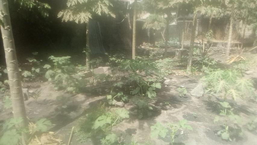 Fanisu (@fanisu3) on Twitter photo 