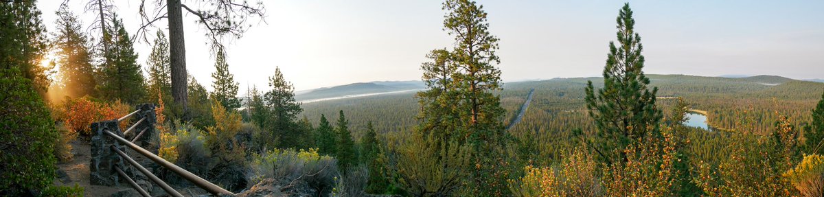 ForestServiceNW's tweet photo. Sunbeams spread sparkles
Hillsides embrace growing warmth
Trees quiver for Spring https://t.co/FepFf6SFsZ