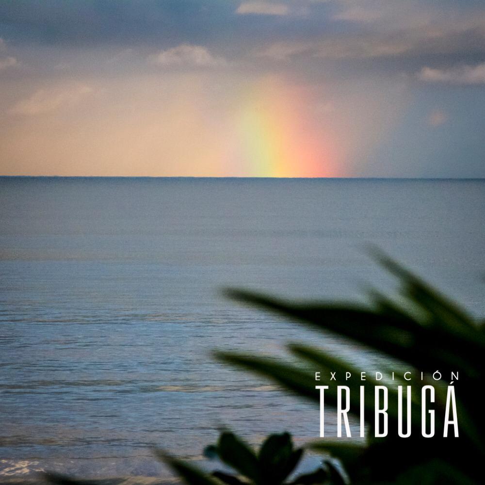 exptribuga's tweet photo. Como no enamorarse de esta valiosa región... Como no luchar por su conservación? 💚🌎
#noalpuertodetribuga #Colombia #tribuga #savechoco #biodiversity #conservation #natgeoyourshot #natgeo @mission_blue @fundacionmarviva #rainforest #forests #bosque #wildlife #people https://t.co/BHWgth8Iti