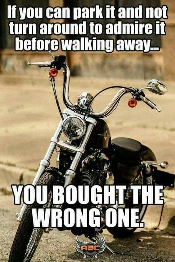 FLBikers tweet media