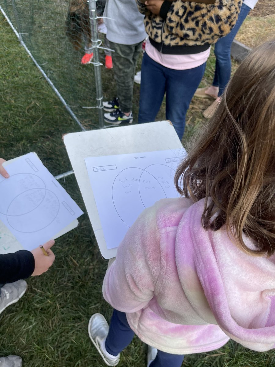 Andrew Crawford tweet media