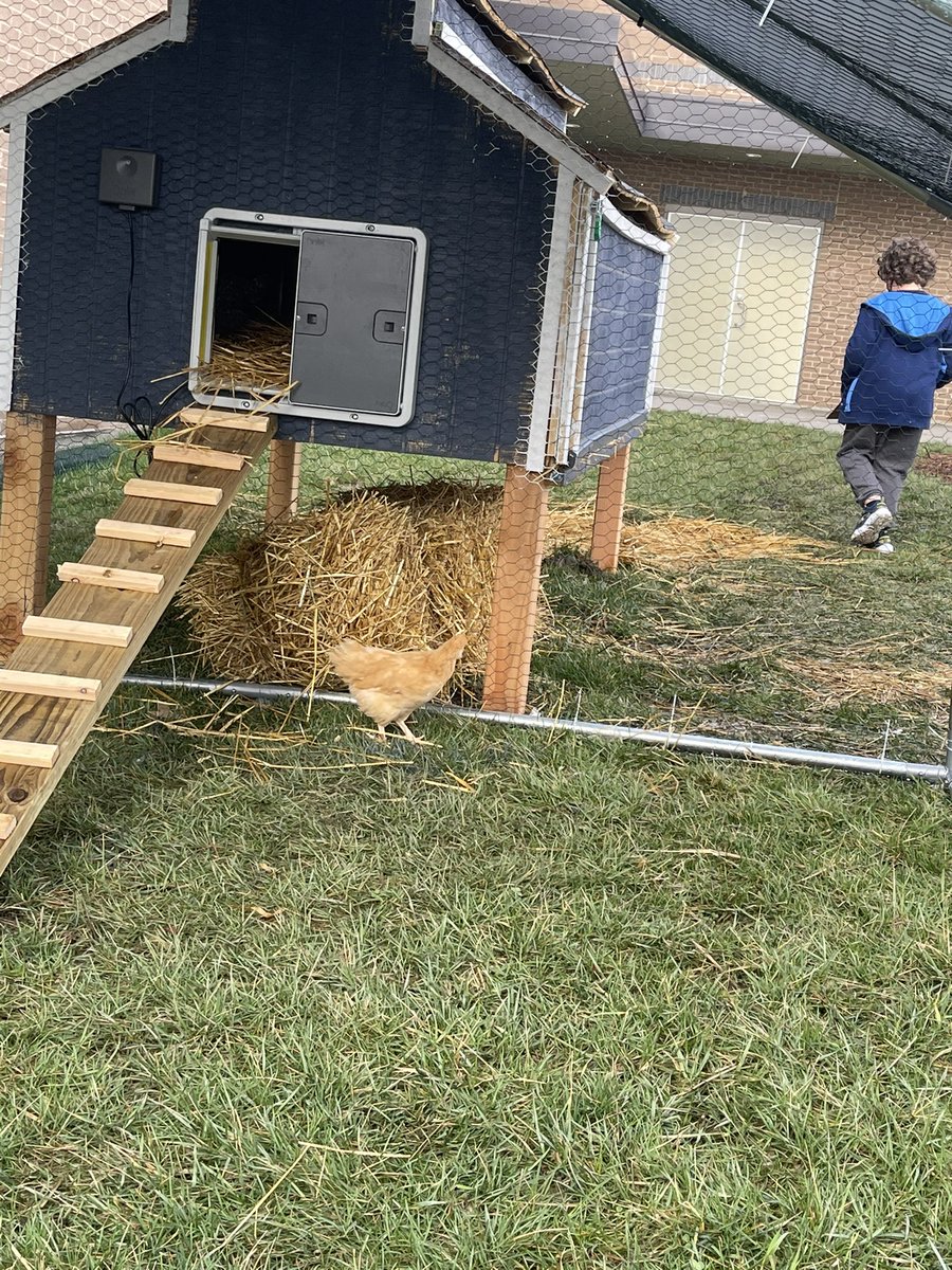 Andrew Crawford tweet media